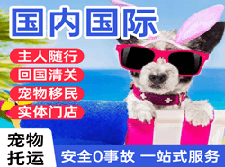 首都航空邮寄国际宠物托运 【国